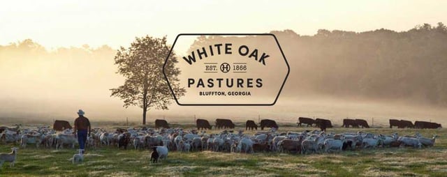 White Oak Pastures
